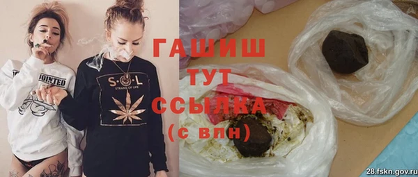 PSILOCYBIN Алзамай