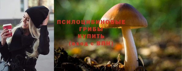 спиды Алексин