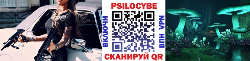 дарнет шоп  Амурск  Галлюциногенные грибы GOLDEN TEACHER 
